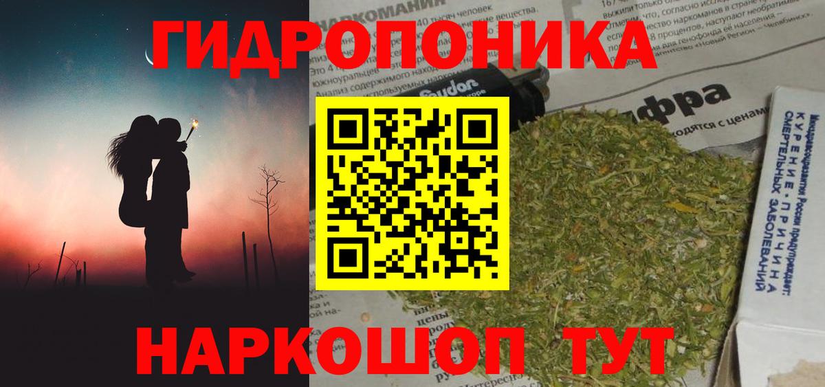 МАРИХУАНА семена Сунжа